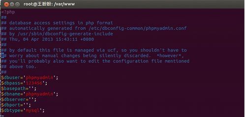 在Ubuntu 12.10上搭建基于Web管理的專屬DNS服務器與光污染治理提案